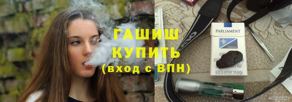 ПСИЛОЦИБИНОВЫЕ ГРИБЫ Ельня