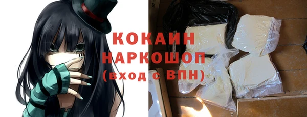 ПСИЛОЦИБИНОВЫЕ ГРИБЫ Ельня