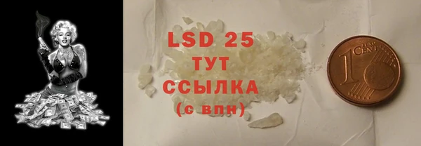 ПСИЛОЦИБИНОВЫЕ ГРИБЫ Ельня