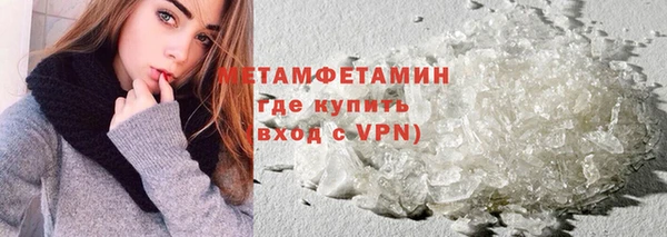 ПСИЛОЦИБИНОВЫЕ ГРИБЫ Ельня